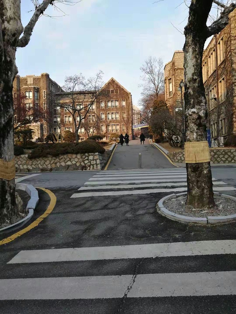 參觀韓國(guó)大學(xué)